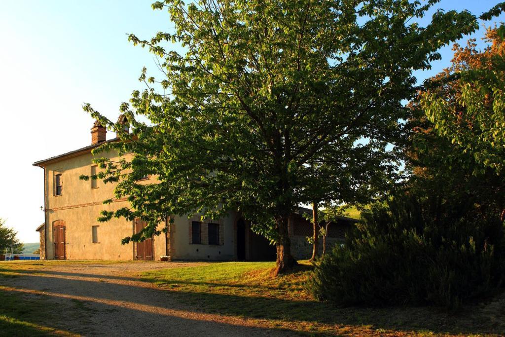 Corbara  Tenuta Di Corbara חדר תמונה